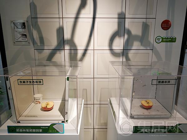 巴迪斯负离子生态吊顶
